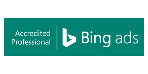 Bing Ads Professional